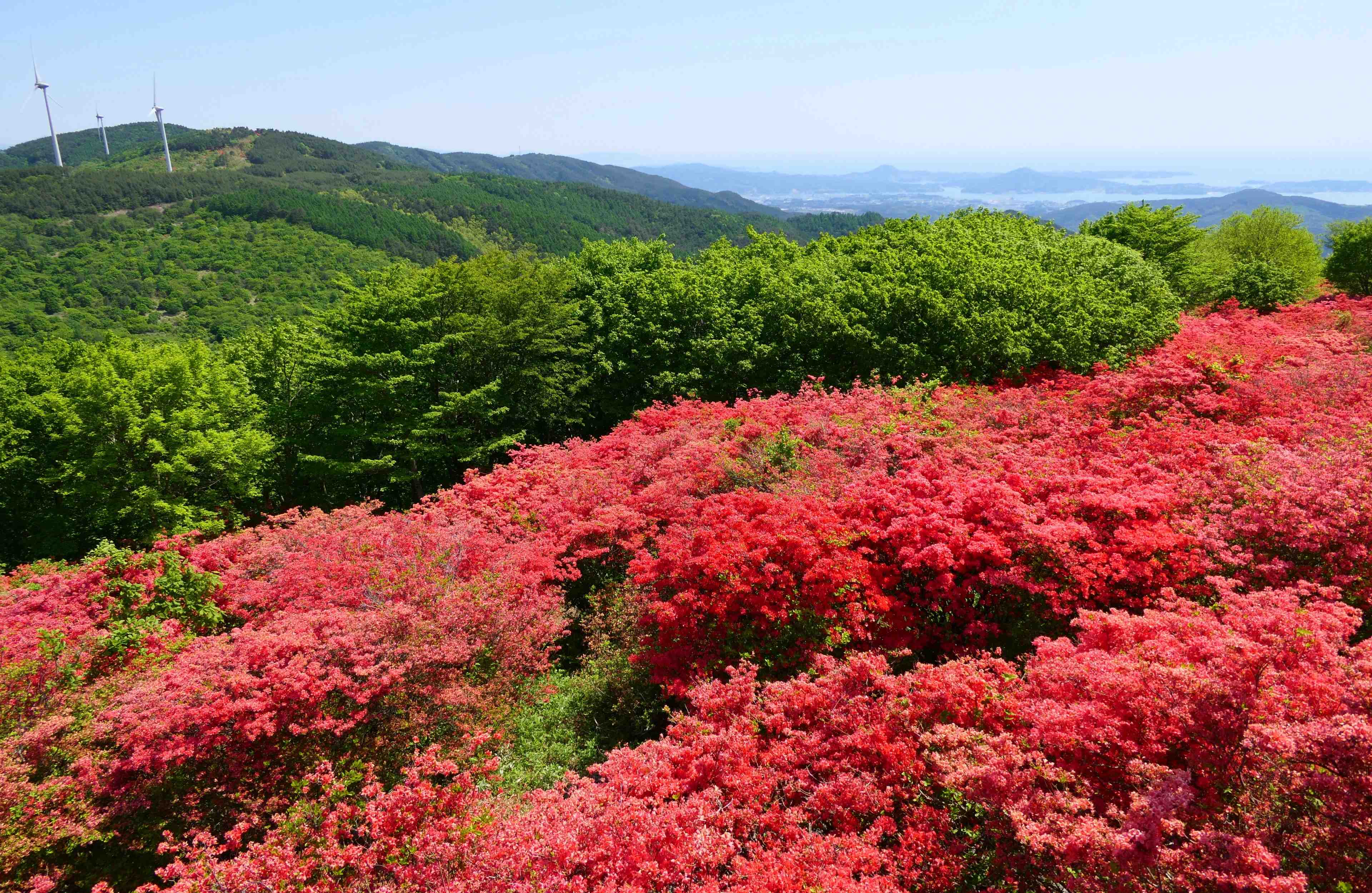 🌳 만남의 언덕 공원 (후레아이노오카 코엔) 이미지 3